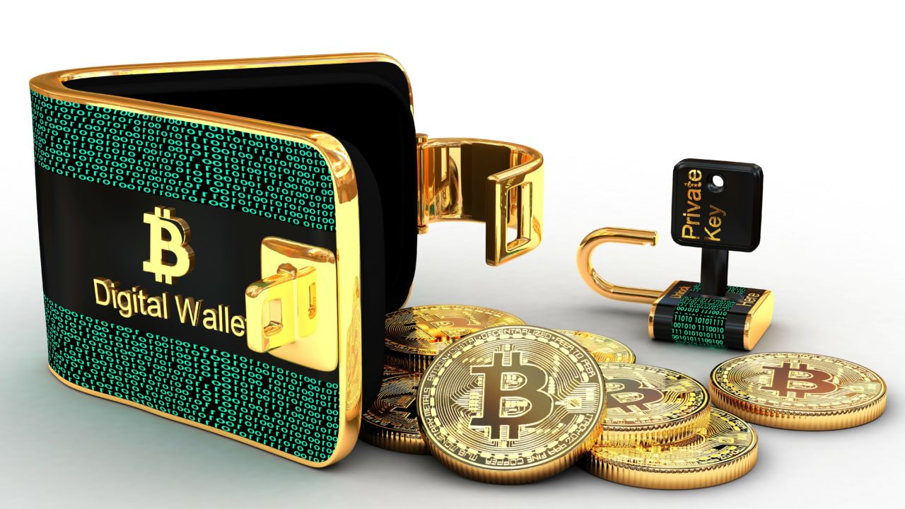 bitcoin wallet activity