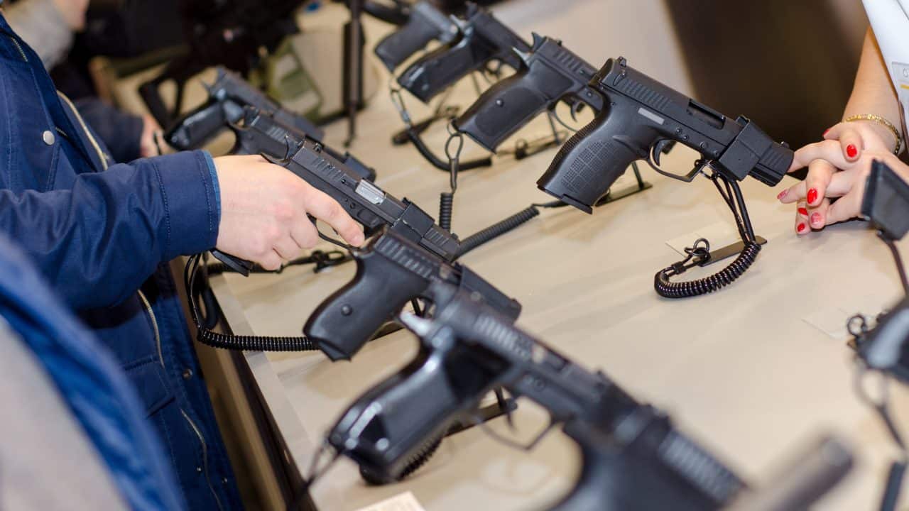 How Many Gun Owners are in America? (2024 Statistics) • The Havok Journal