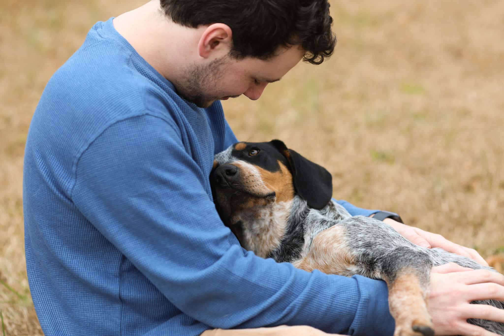 Supportive Animals How Emotional Support Animals Improve Daily Life in Unexpected Ways ...