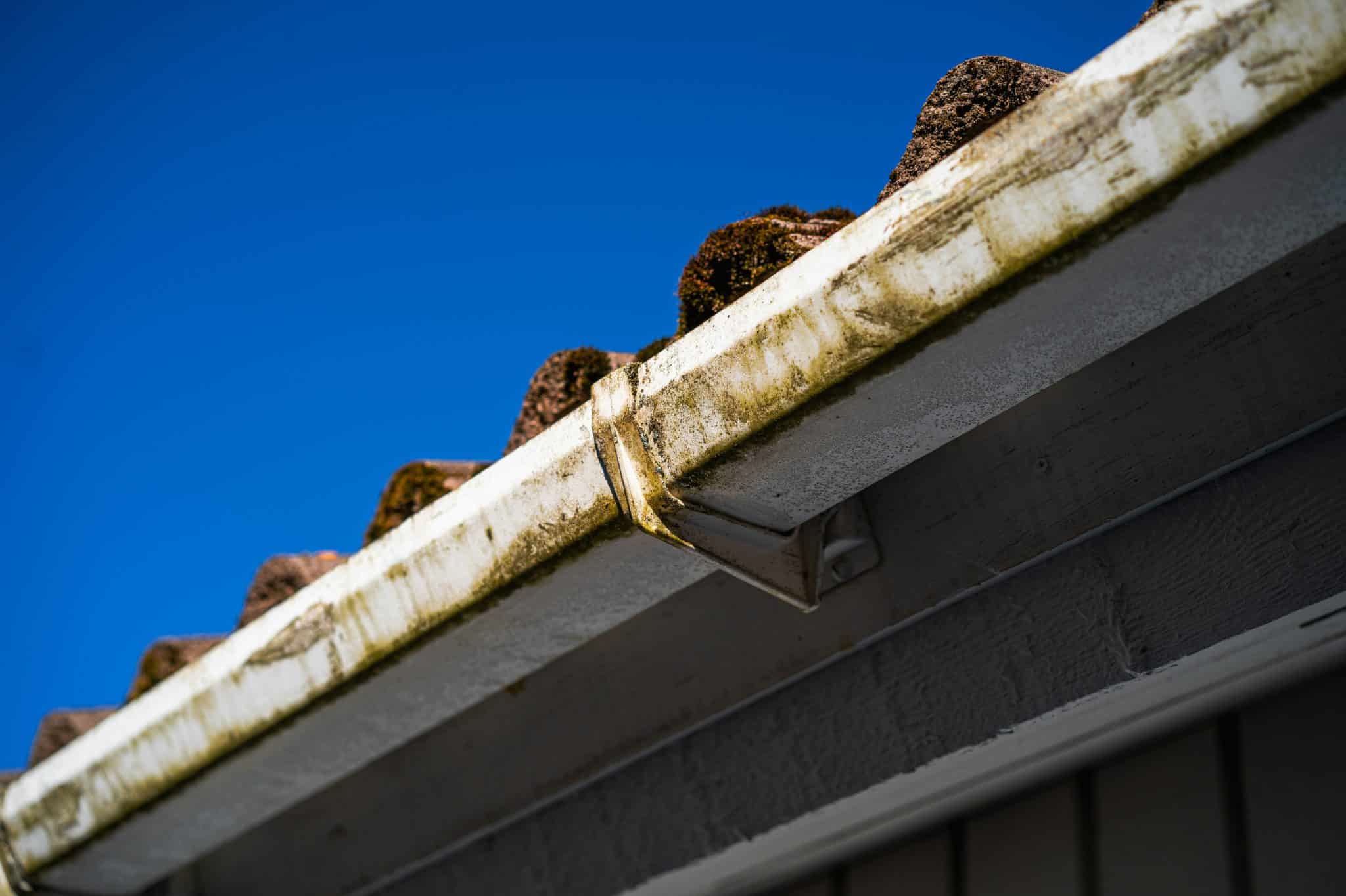How to Easily Clean Your Gutters • The Havok Journal | Military ...
